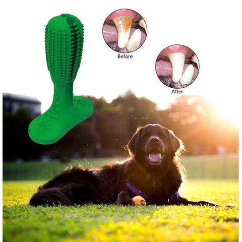 Image of dog dental chews