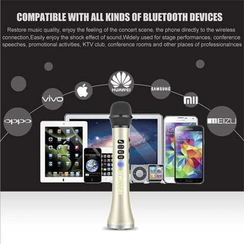 Image of karaoke mic with bluetooth speaker