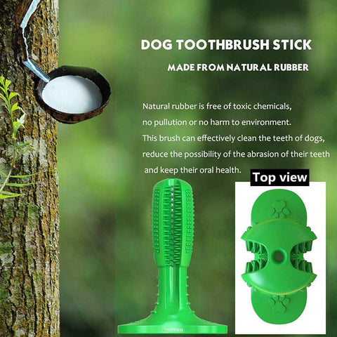 Image of best dog toothbrush natural