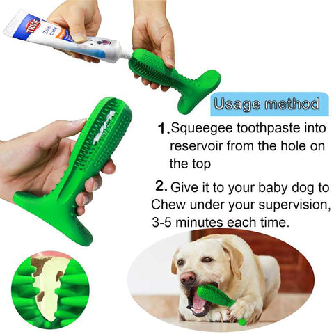 Image of dog toothbrush toy
